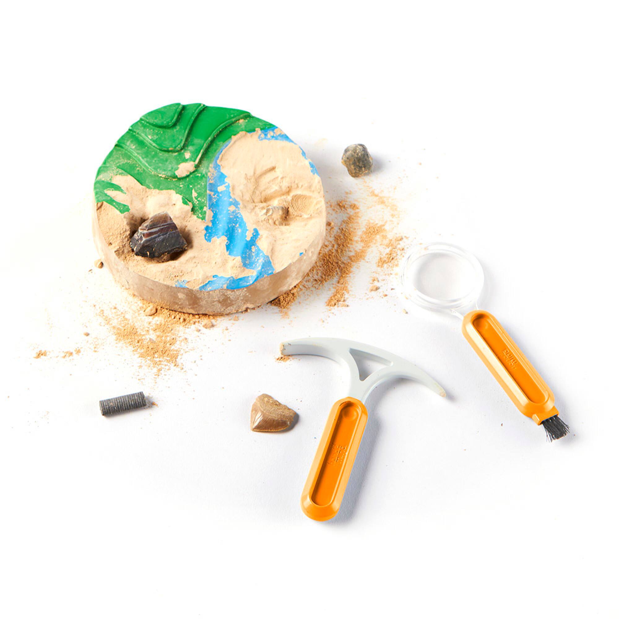 hand2mind® Dig & Display Fossil Kit